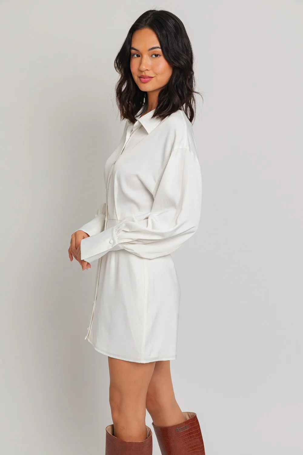 phoebe button down dress