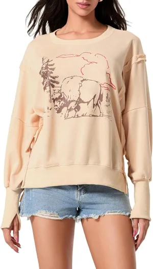 Women Cute Oversized Graphic Sweatshirt Y2k Crewneck Pullover Long Sleeve Sweater Vintage Star Striped Streetwear